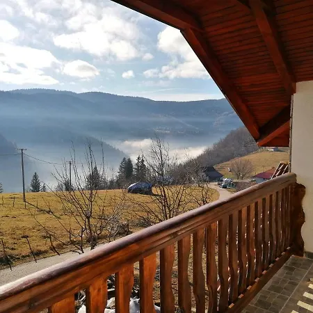 Dunja Zlatar Nova Varoš