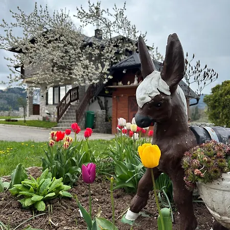 Apartmán Dunja Zlatar Nova Varoš