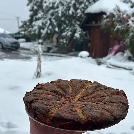 Apartmán Dunja Zlatar Nova Varoš